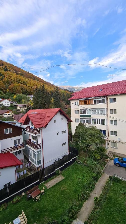 Iali Apartment Sinaia Esterno foto