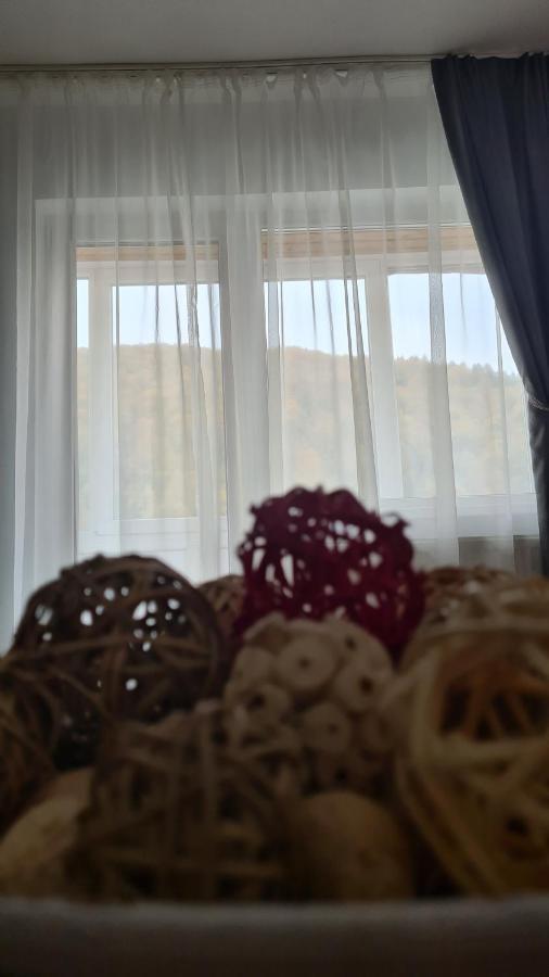 Iali Apartment Sinaia Esterno foto