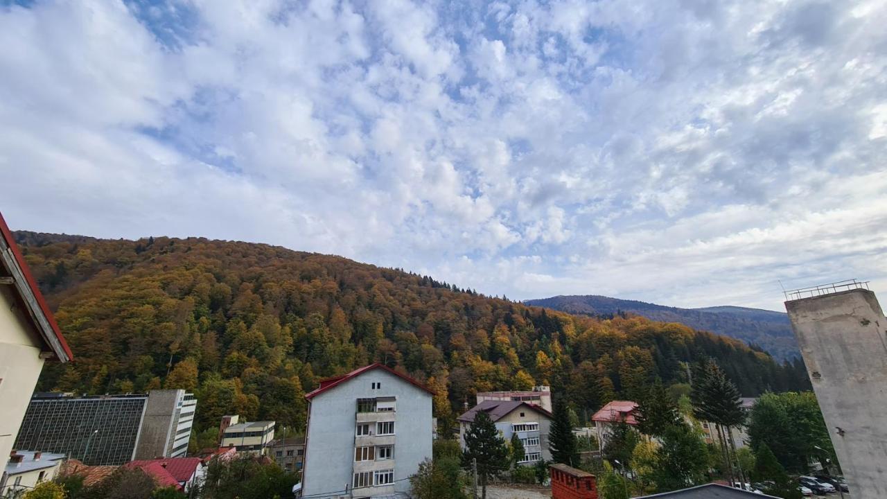 Iali Apartment Sinaia Esterno foto